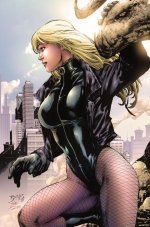 black-canary.jpg