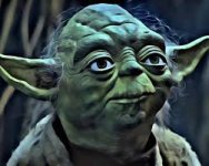 yoda.jpg
