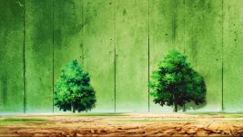 hidden_leaf_village__chuninexam_arena__3_by_iennidesign_d88uq0i-pre.jpg
