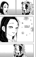 Kimetsu no Yaiba - Bölüm 66 - 9.png